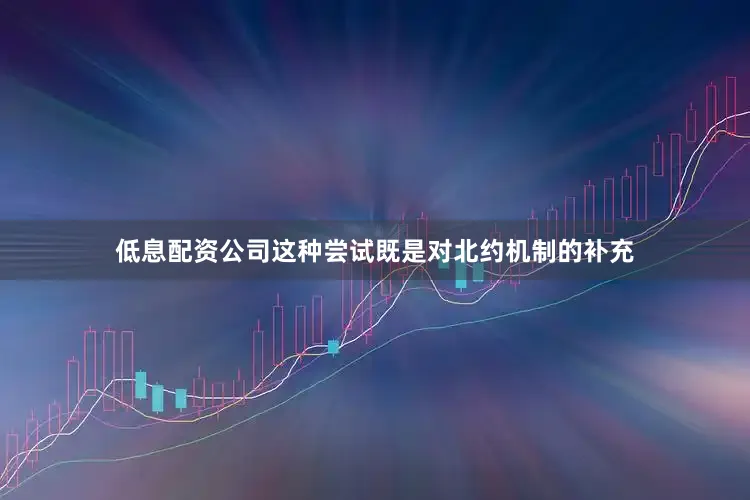 低息配资公司这种尝试既是对北约机制的补充