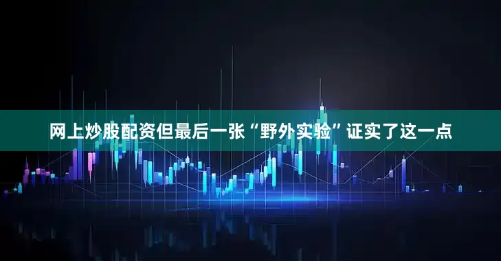 网上炒股配资但最后一张“野外实验”证实了这一点
